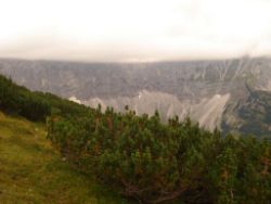 2013-09-08_6Falkenh-Steinfalk (266).JPG